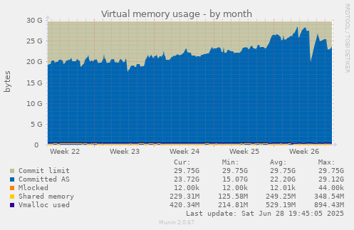 Virtual memory usage