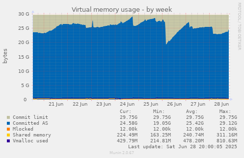 Virtual memory usage
